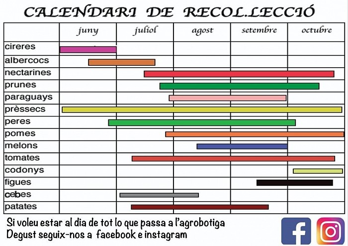 Calendari de productes de producció pròpia que pots trobar a la botiga